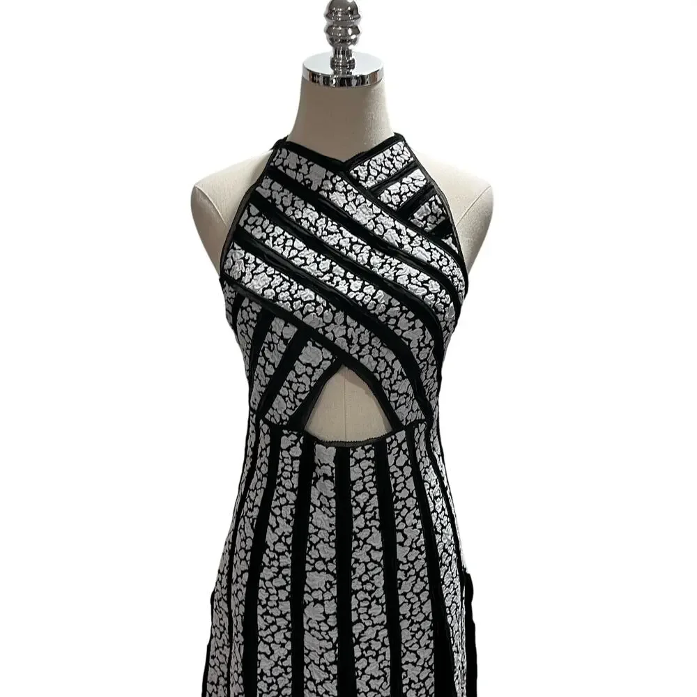 Proenza Schouler Printed Pleated Black White Fit and Flare Sleeveless Dress Sz 2